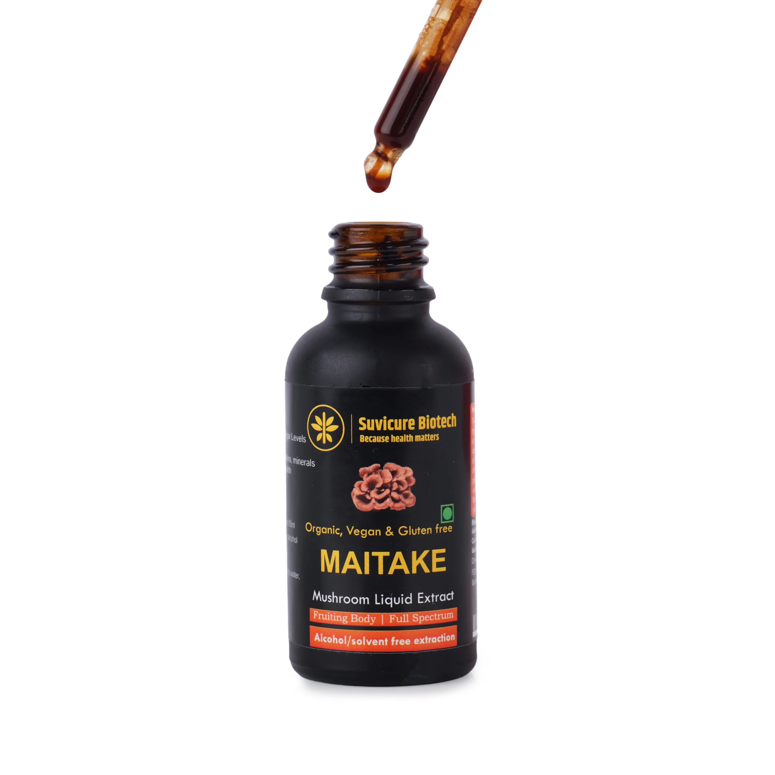 Maitake Mushroom - Image 3