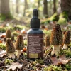 Morel Liquid Extract - Image 3