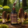 Morel Liquid Extract - Image 2